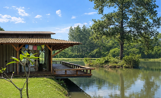 Vilarejo Núcleo e Consciência
